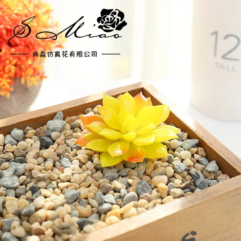 plantes succulentes artificielles vert feuilles pointues réaliste gravier boîte bois extérieur anniversaire exposantDecoration