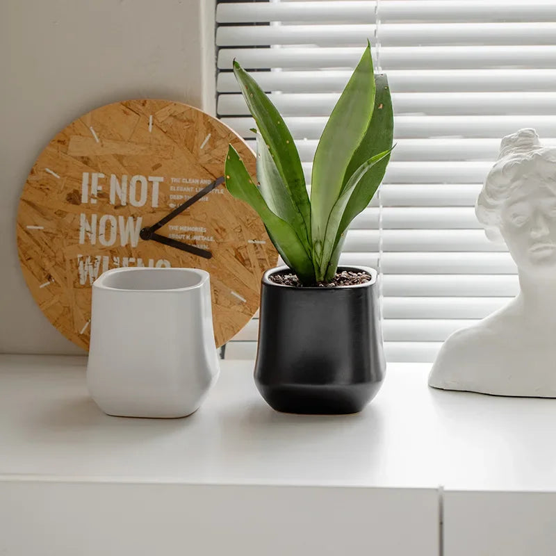 Cache pot céramique moderne blanc doré noir plante verte lisse brillant minimaliste