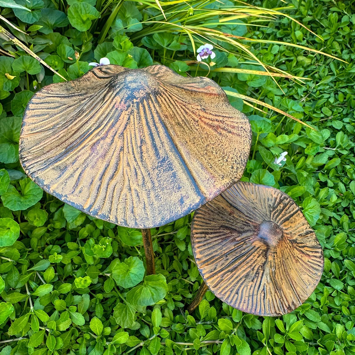 décorations champignons artificiels marron brun clair texturés rustiques extérieurs jardin naturels grandes tailles