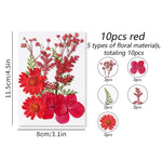 fleurs séchées plantes écologiques intérieur anniversaire baby shower exposition minimalistes cartes postales ornementales fixations