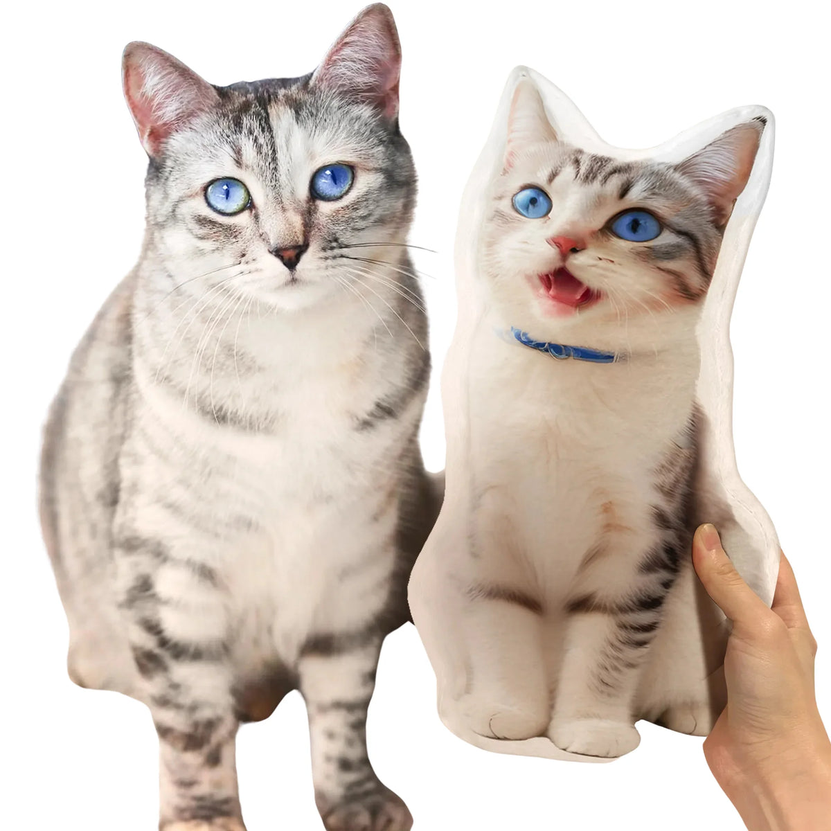 coussin personnalisé photo animaux gris blanc bleu rayures collier back to school décoration maison