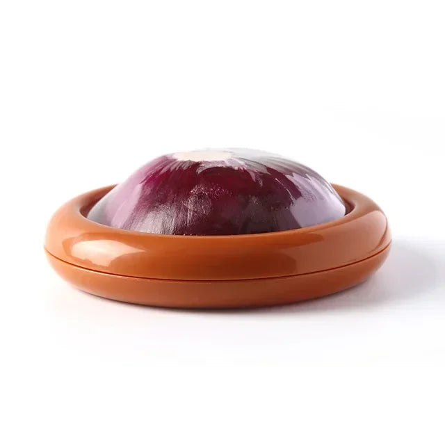 boîtes conservation alimentaire transparentes réutilisables couleurs vives moderne respectueuses l'environnement adhésifs variées