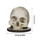 rangement couteaux tête mort sculptée texture granuleuse détails sombres réaliste gris blancversible polyester okolets