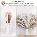 décoration boho bouquet fleurs séchées pampas naturel beige blanc vase maison anniversaire