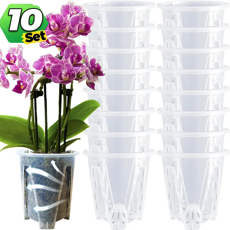 pots plante transparents perforations contrôle racines moderne adhésif orchidées fleur verte jardin