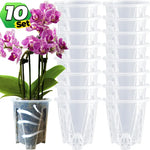 pots plante transparents perforations contrôle racines moderne adhésif orchidées fleur verte jardin