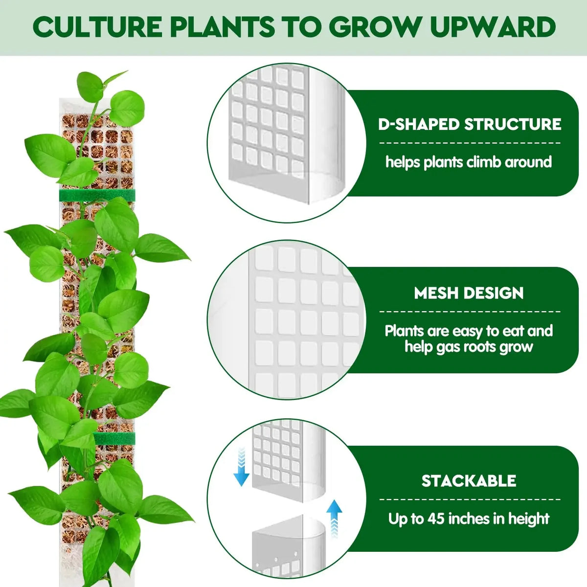 support croissance plantes vertes moderne adhésif pliante pot éco compatibleintérieurextérieur