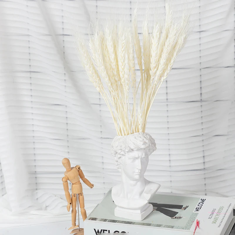 décoration maison plante séchée pampa moelleuse naturelle vase dried flowers beige rustiqueintérieur