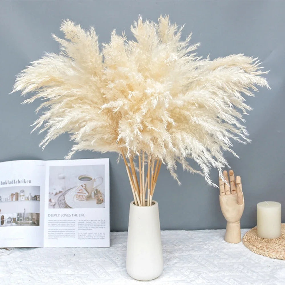 bouquet pampas séché plumes soyeuses naturel rustique décoration intérieure mariage anniversaire bohème 10 pièces