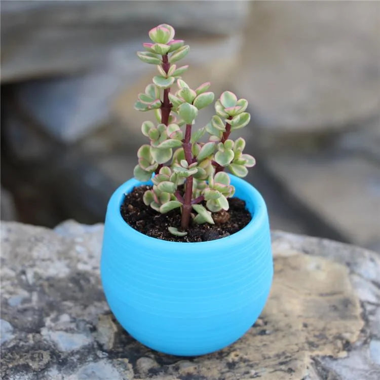 mini pot fleurs moderne bleu vert rayures horizontales décoration plastique