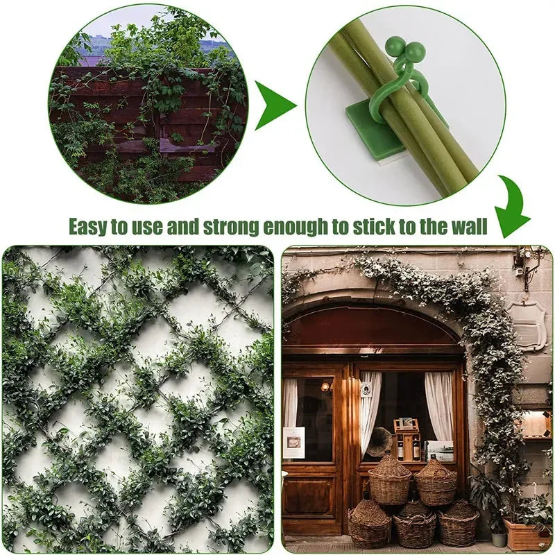 fixateur mural plantes adhésif plastique vert simple moderne support plante colles