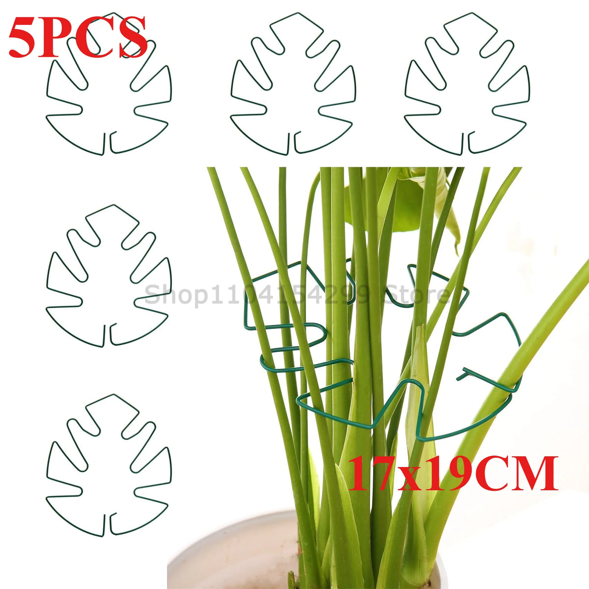 Support tiges plantes or spirale moderne fixations adhésives grandes plantes intérieures pothos philodendron monstera