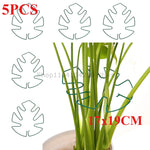 Support tiges plantes or spirale moderne fixations adhésives grandes plantes intérieures pothos philodendron monstera