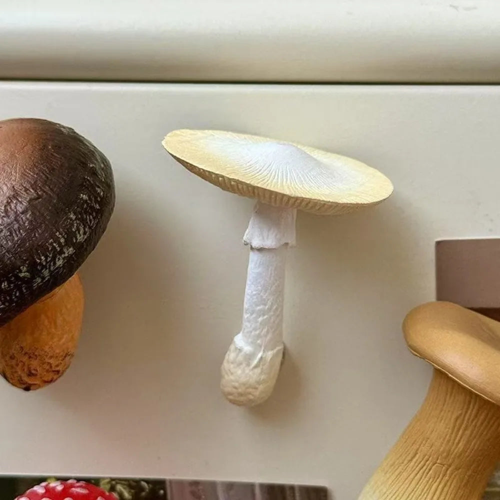 aimants réfrigérateur forme champignon couleur rouge noir blanc marron clair texture naturelle réaliste opaques