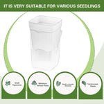 pots auto arrosants transparents modernes 5cm 5cm 8cm 12 unités 12 cotonnets