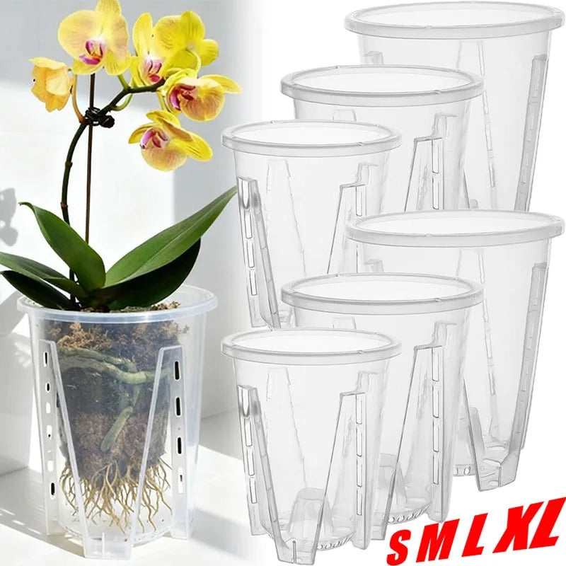 pot plante transparent perforations drainage amélioré moderne jardinerie orchidées plastique pp