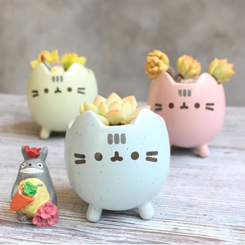 pots céramique argile succulentes dessin animé visage chat couleur beige rose bleuclair