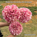 bouquet hortensia soie rose clair feuilles vertes réaliste décoration intérieure mariage anniversaire pendaison crémaillère