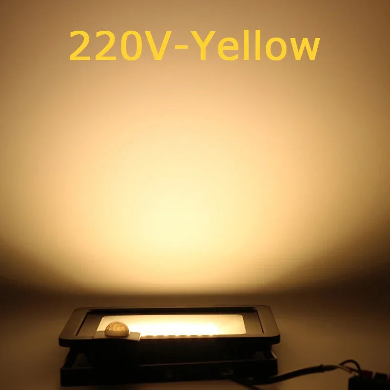 projecteur led 50w ip66 noir moderne capteur pir réglable 220v 110v