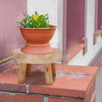 Support de plantes en bois de taille moyenne dans un jardin