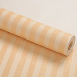 papier peint moderne imperméable rayures horizontales noir beige résistant humidité moisissures