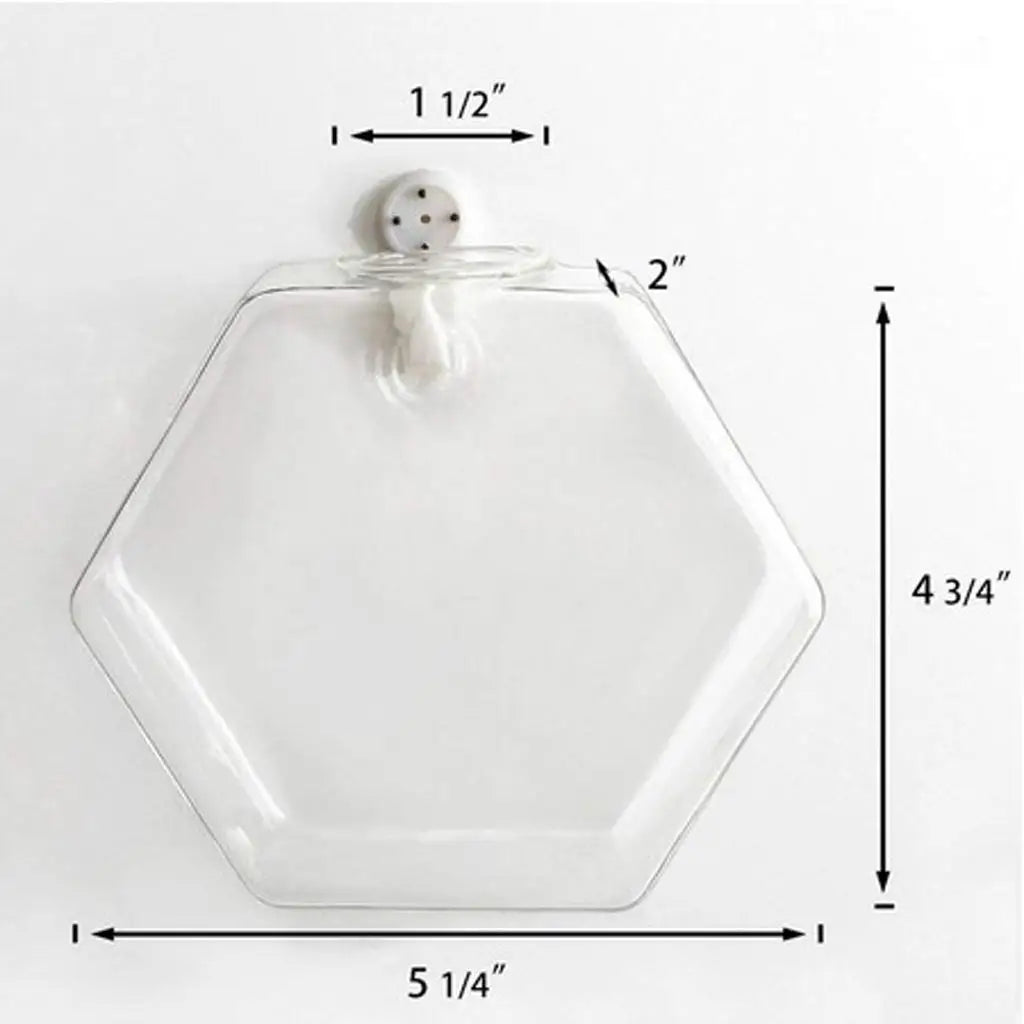 vases suspendus verre transparent modernes clips adhésifs rond hexagonal