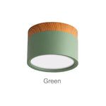 plafonnier led moderne rond bois blanc noir gris vert jaune rose nordique intérieur