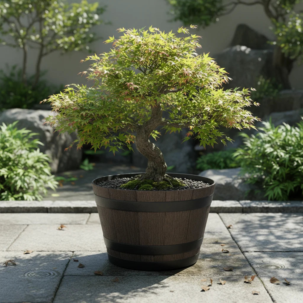 pots fleurs marron clair texture bois classique intérieur extérieur jardin plantes vertes sol non