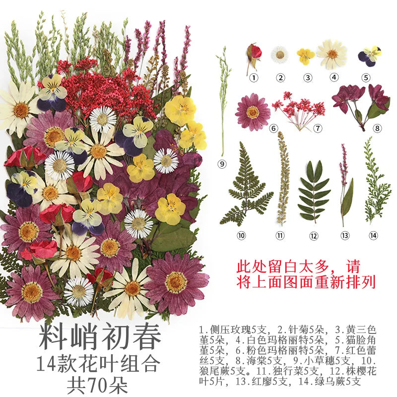 fleurs séchées multicolores naturelles variées feuilles séchées décor maison artisanat enfant autocollants journal