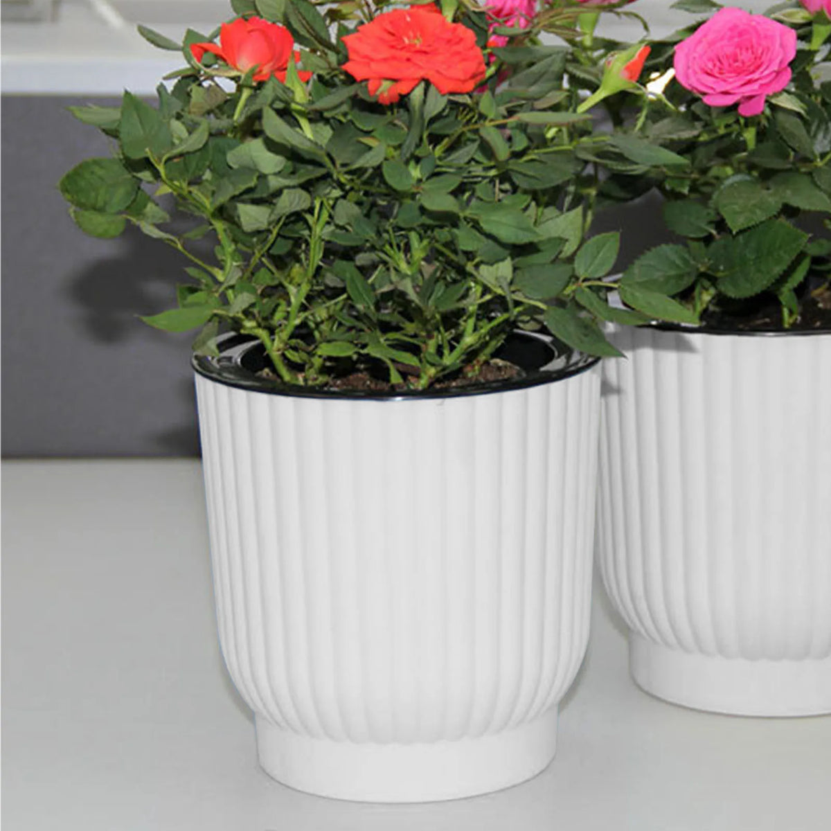 pot fleur hydroponique auto arrosage moderne blanc rayures verticales plante verte intérieur