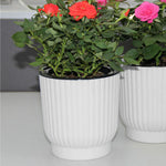 pot fleur hydroponique auto arrosage moderne blanc rayures verticales plante verte intérieur