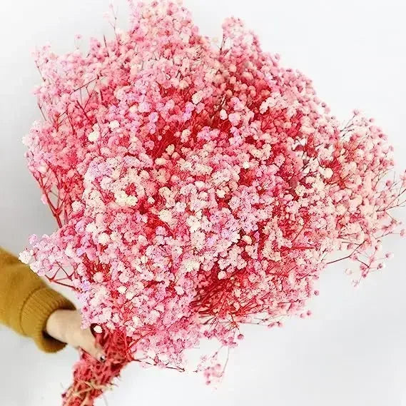 décoration maison bouquet fleurs séchées rose blanches vase naturel rustique