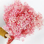 décoration maison bouquet fleurs séchées rose blanches vase naturel rustique