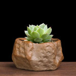 pots céramique succulentes aspect pierre naturelle moderne rustique drainage marron gris