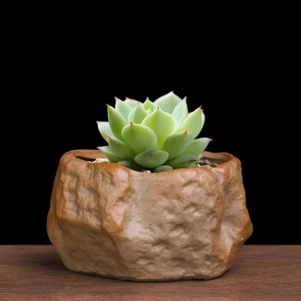 pots céramique succulentes aspect pierre naturelle moderne rustique drainage marron gris