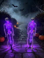 éclairage solaire squelette violet orange halloween jardin moderne translucide led allée festive