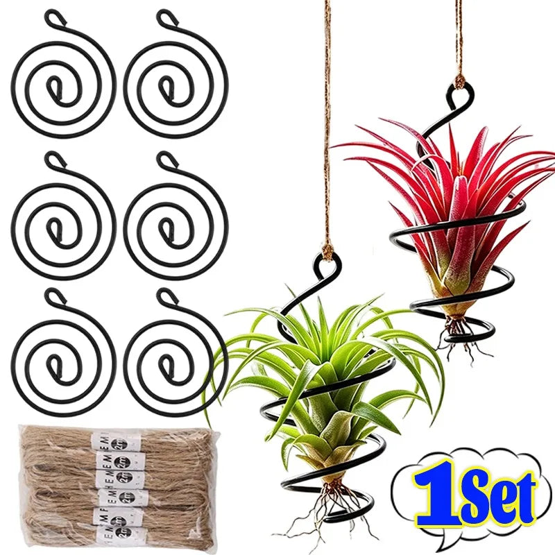support plante aérienne tillandsia spirale métal corde jute décor jardin intérieur noir vert rouge