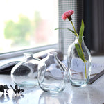 vases transparents modernes marron bleu texture ombre décoration table