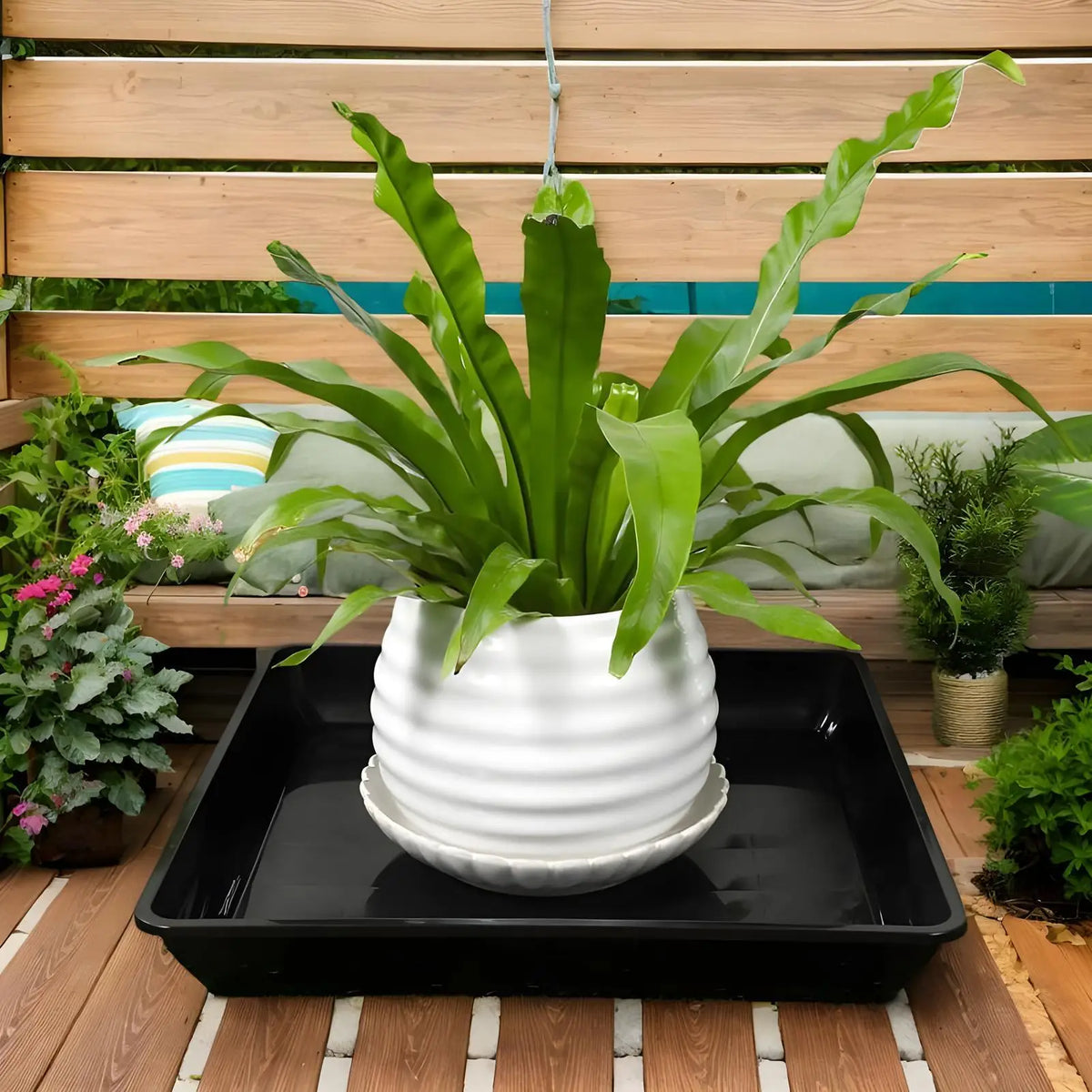 supports plantation carrés noirs pot fleurs plante verte sculpture céramique dracaena succulente décoration intérieure