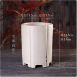 Cache pot céramique moderne rouge beige noir texture granulée fleur plante verteintérieur decoration