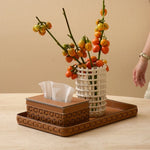 boîte mouchoirs cuir plateau aromathérapie pot céramique boule décoration vase plastique fruit artificiel moderne