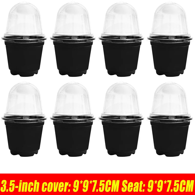 pots semis transparents modernes noir 3.5 inch 12pc jardinage fleurs plantation