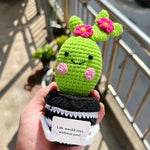 décoration créative cactus vert rose noir coeur rouge carte blanche adhésif personnalisable maison