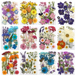fleurs séchées violet bleu rose jaune naturelles décoration maison intérieur variés différents