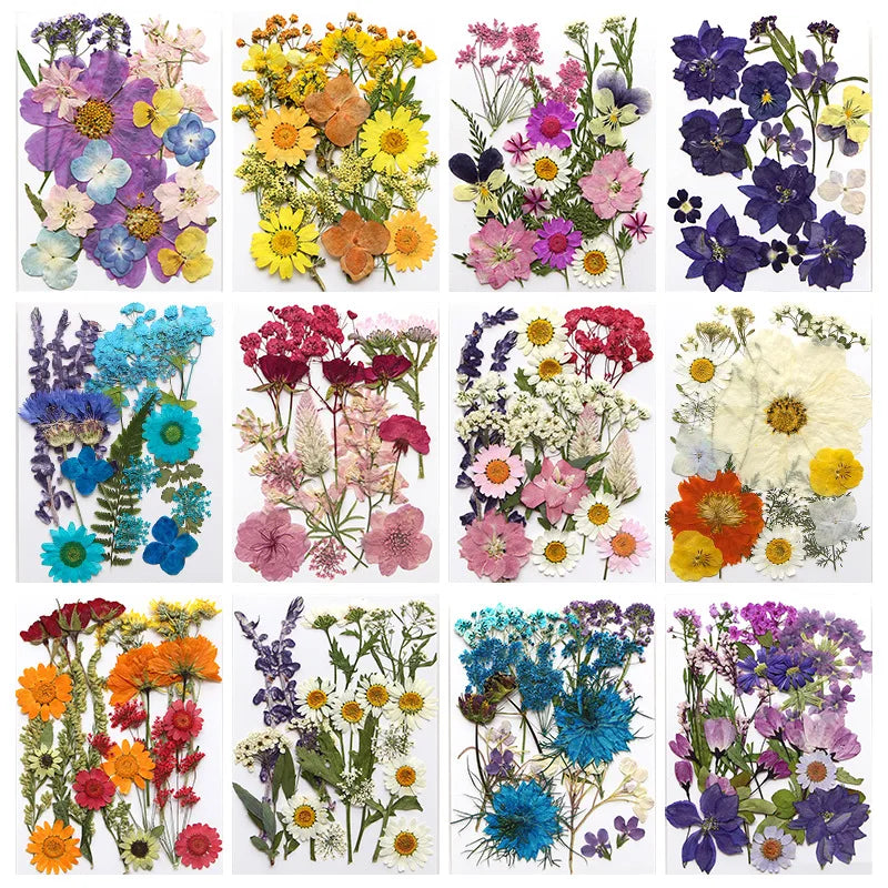 fleurs séchées violet bleu rose jaune naturelles décoration maison intérieur variés différents