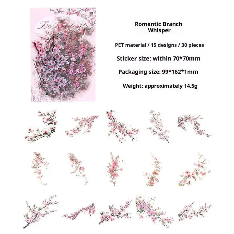 décorations florales séchées naturelles violettes roses vertes orangées blanches plantes fleurs