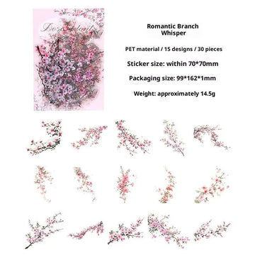 décorations florales séchées naturelles violettes roses vertes orangées blanches plantes fleurs