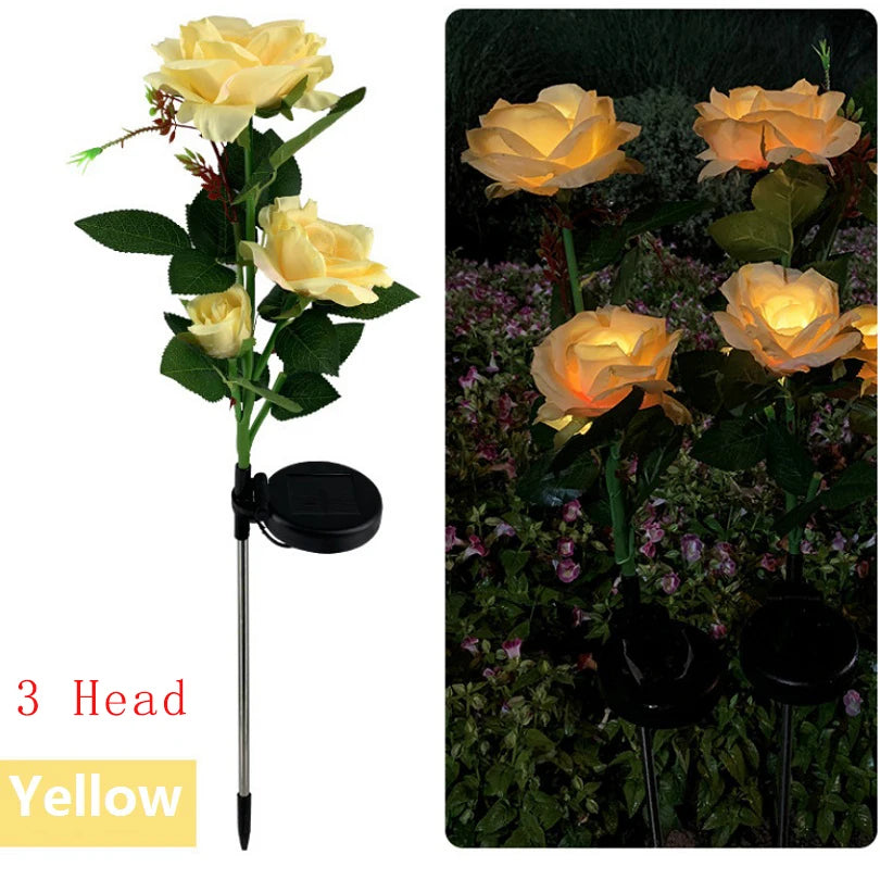lumière solaire forme rose blanche rouge jaune feuillage vert extérieure moderne