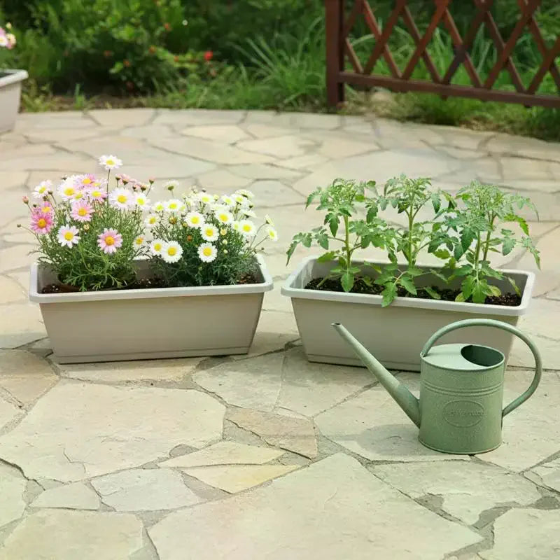 pots légumes intérieur auto absorbant drainage corde absorbante semis plante maison blanc bleu vert