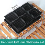 lot pot succulentes plastique blanc moderne trous drainage aération plantes maison
